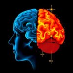 How Pediatric Imaging Enhances Accuracy in Diagnosing Autism-Related Conditions